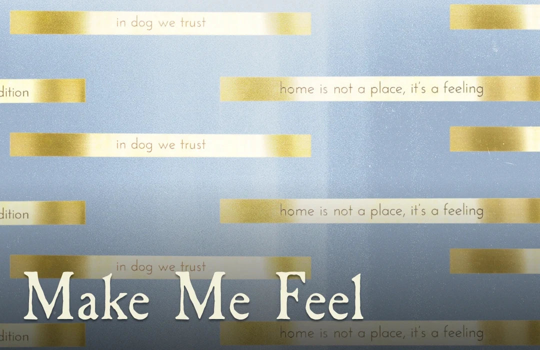 Make Me Feel