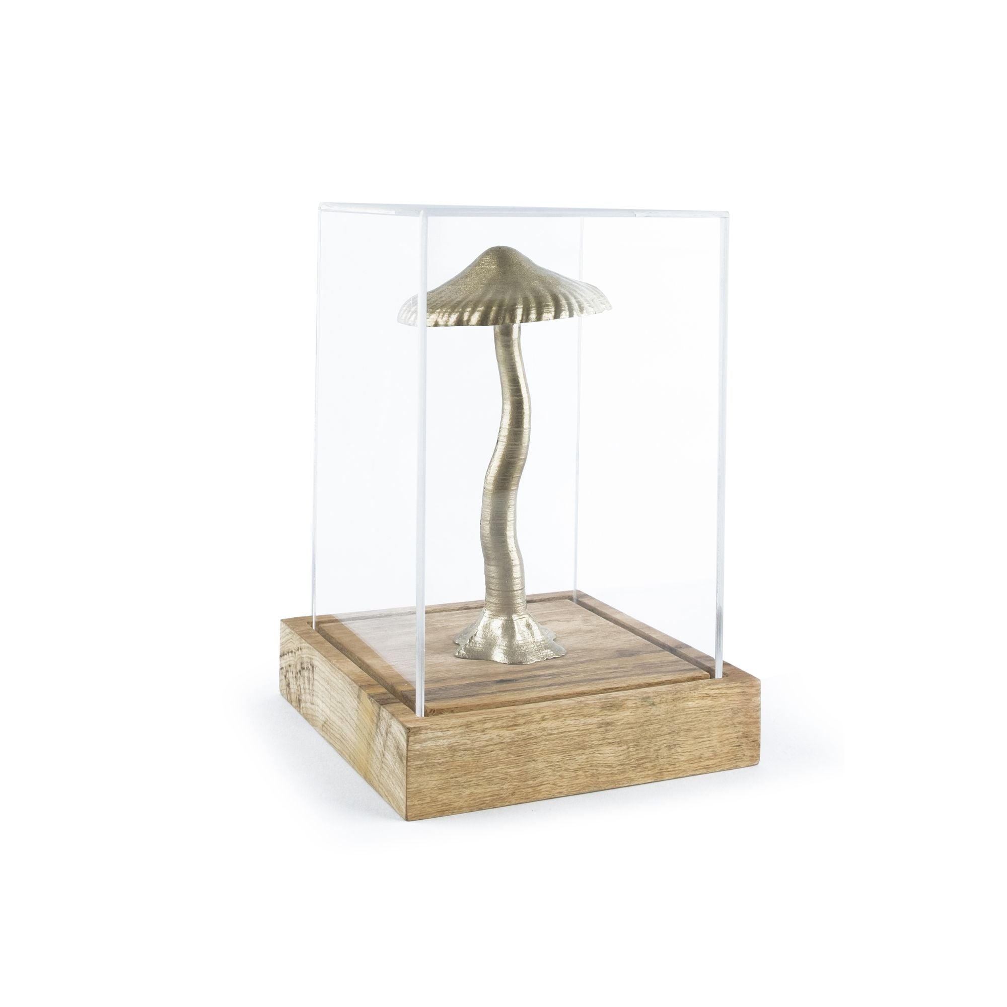 Magic Grow Box Escultura