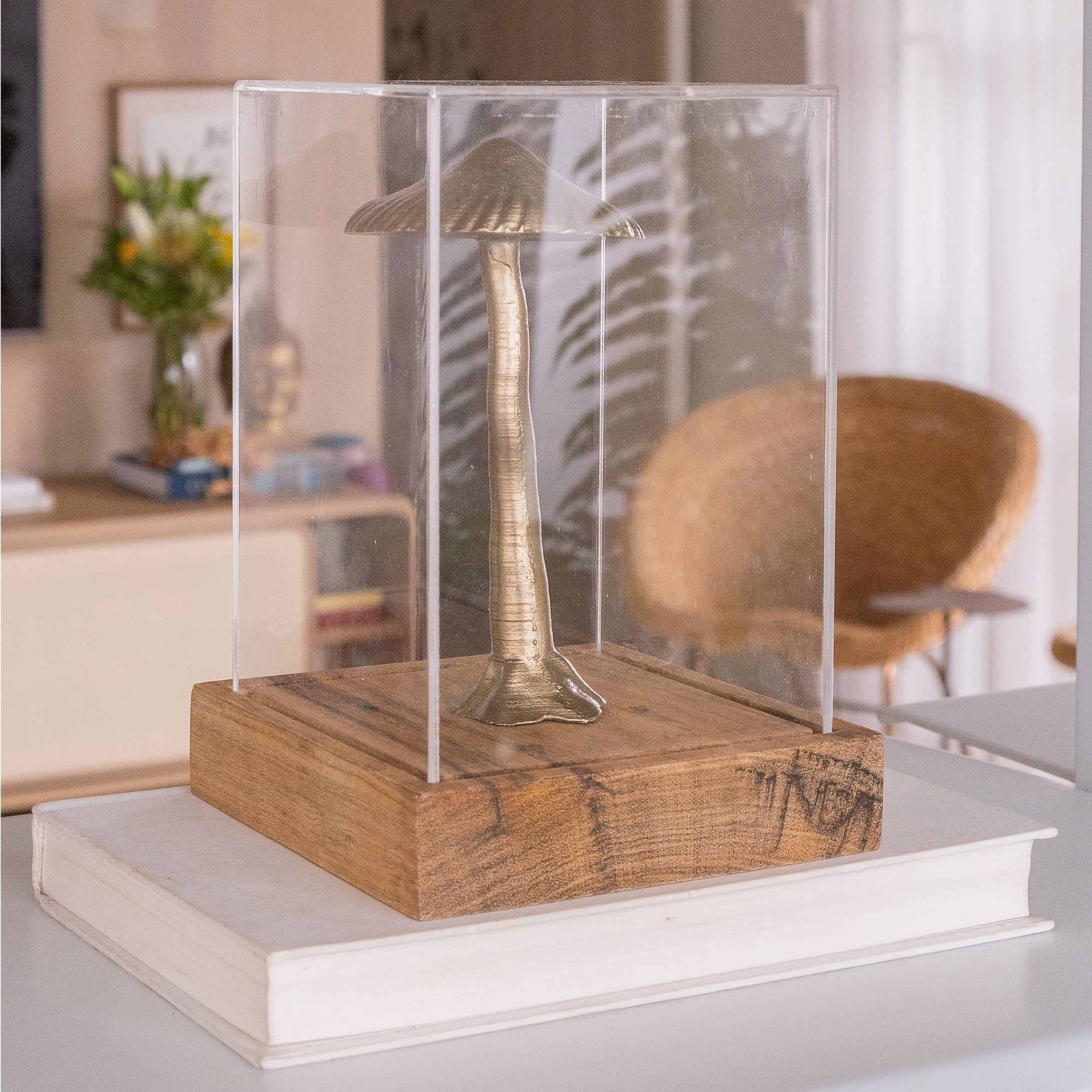 Magic Grow Box Escultura