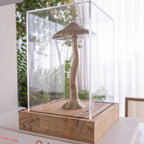 Magic Grow Box Escultura