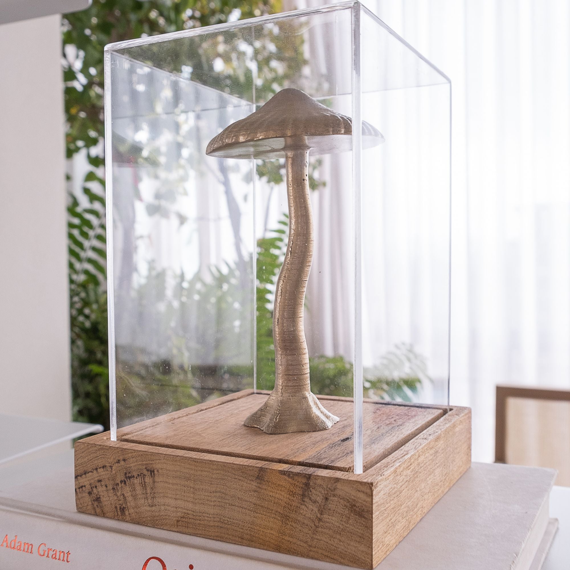 Magic Grow Box Escultura